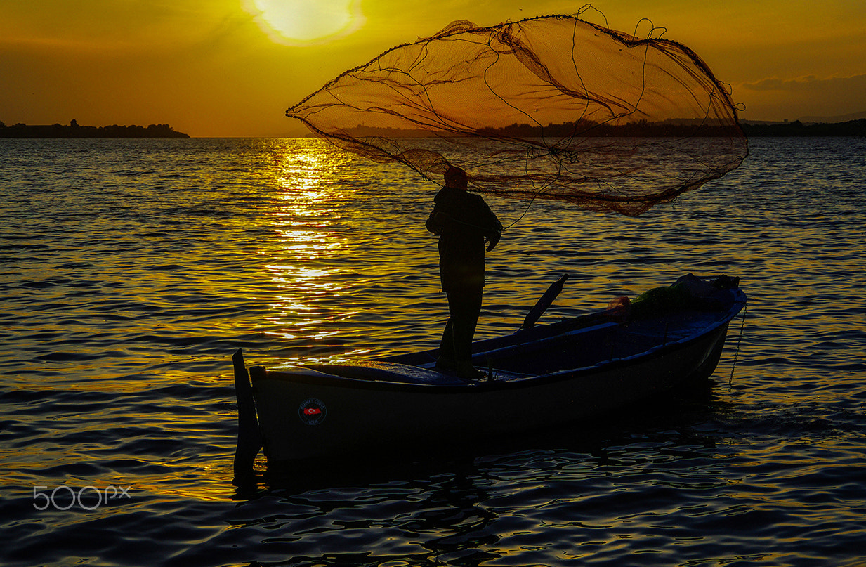 Pentax K-3 II sample photo. Good luck photography