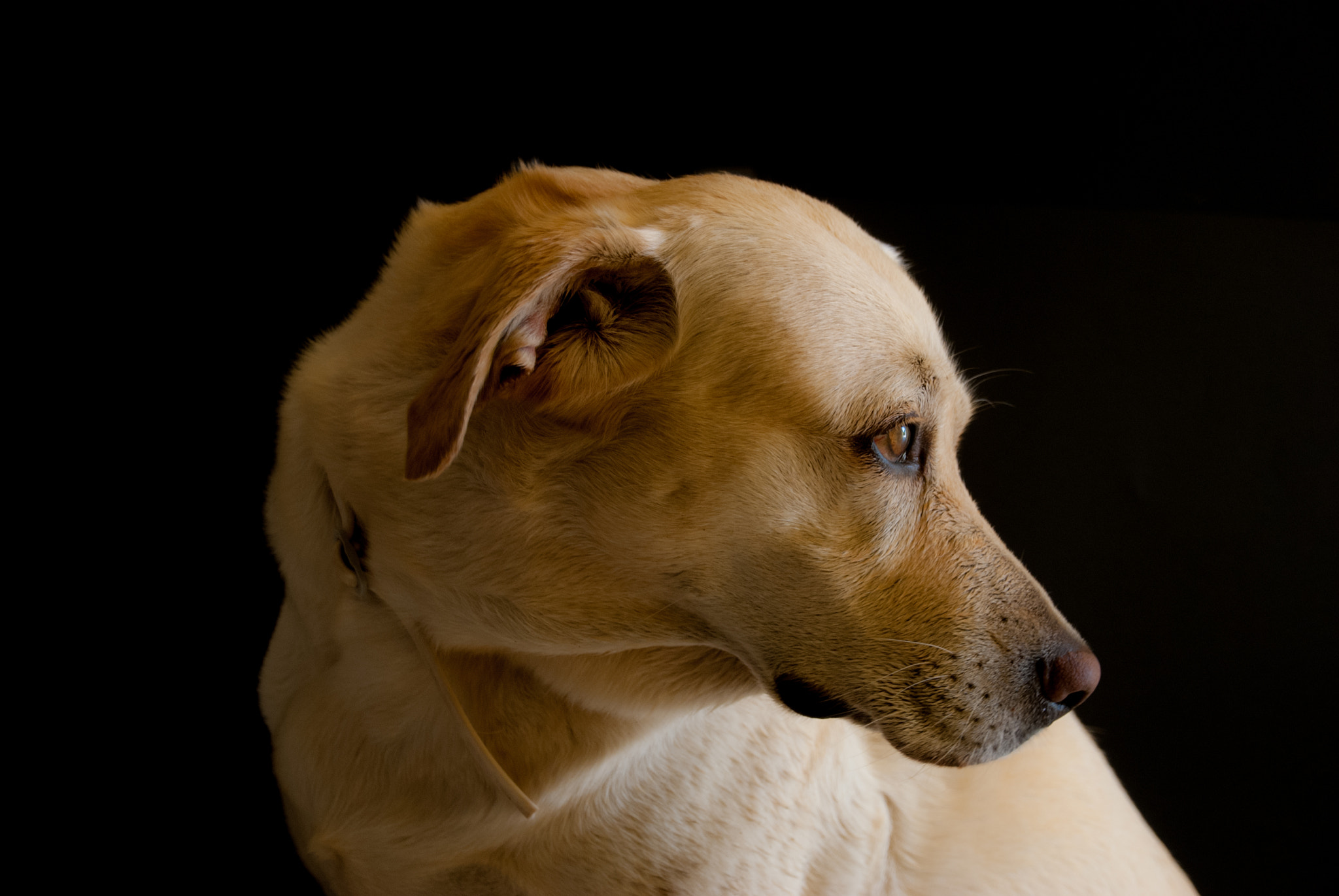 Nikon D80 sample photo. Lua photography