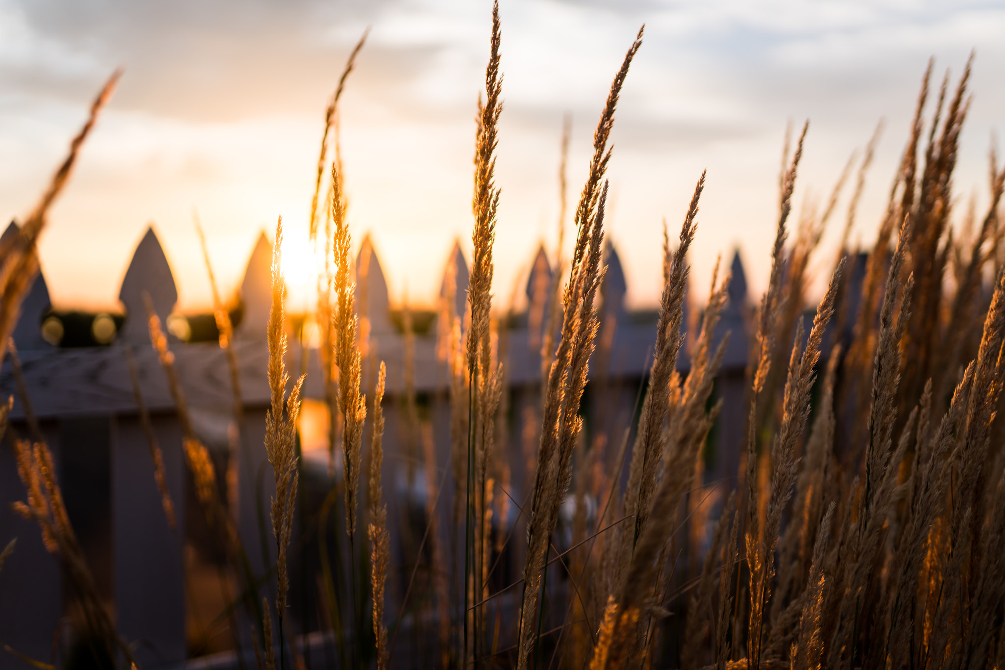 Sigma 35mm F1.4 DG HSM Art sample photo. Sunset photography