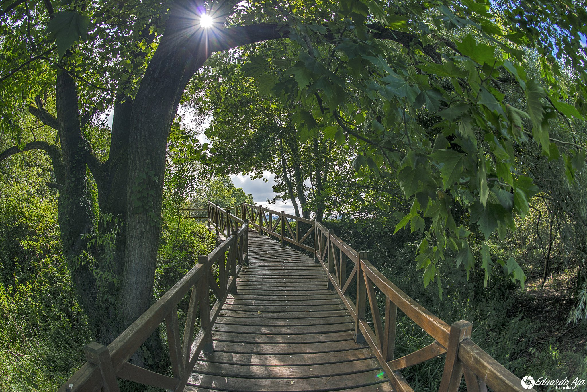 Nikon D800 + Nikon AF Fisheye-Nikkor 16mm F2.8D sample photo. Pomaluengo agosto 16 photography