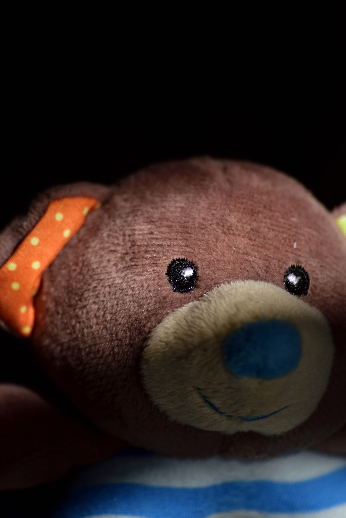 Sigma 70-300mm F4-5.6 APO Macro Super II sample photo. Toy portraits photography