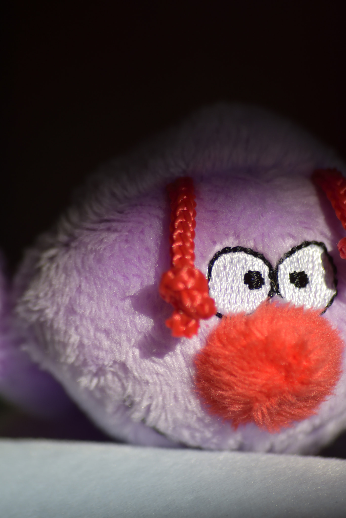 Sigma 70-300mm F4-5.6 APO Macro Super II sample photo. Toy portraits photography