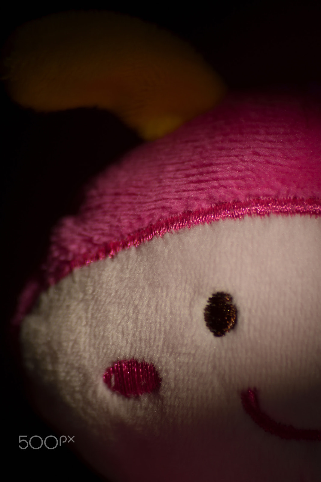 Sigma 70-300mm F4-5.6 APO Macro Super II sample photo. Toy portraits photography