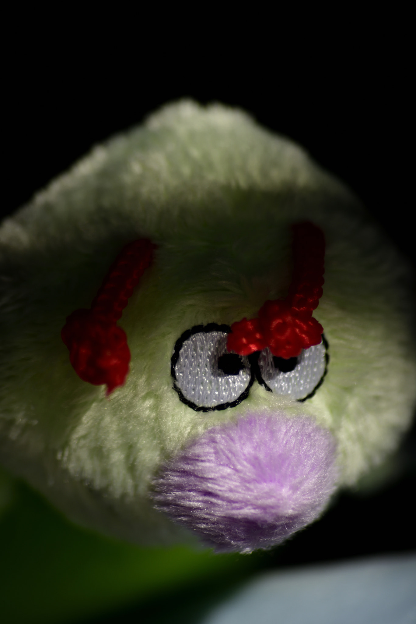 Sigma 70-300mm F4-5.6 APO Macro Super II sample photo. Toy portraits photography