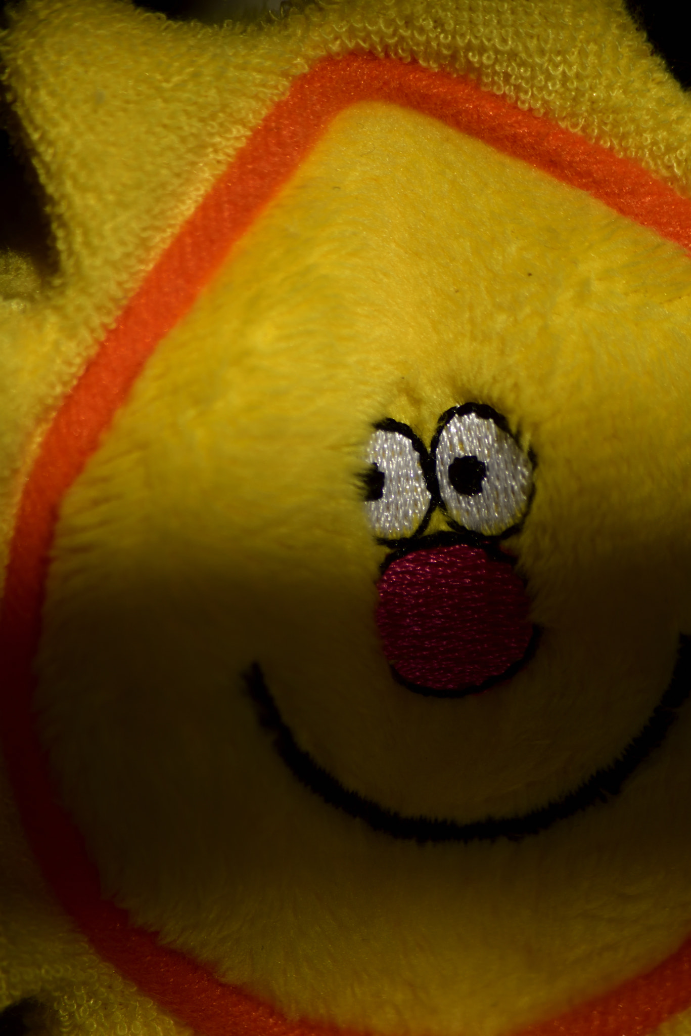 Sigma 70-300mm F4-5.6 APO Macro Super II sample photo. Toy portraits photography