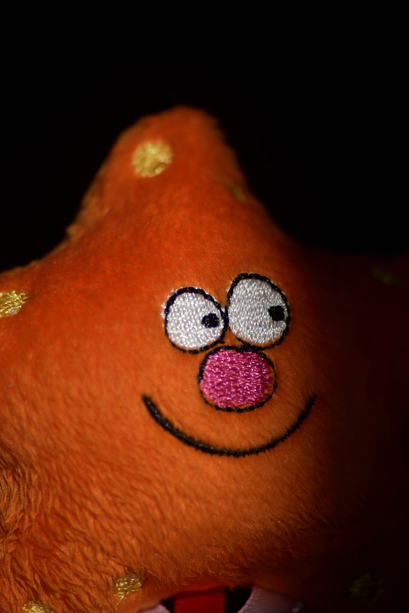 Sigma 70-300mm F4-5.6 APO Macro Super II sample photo. Toy portraits photography