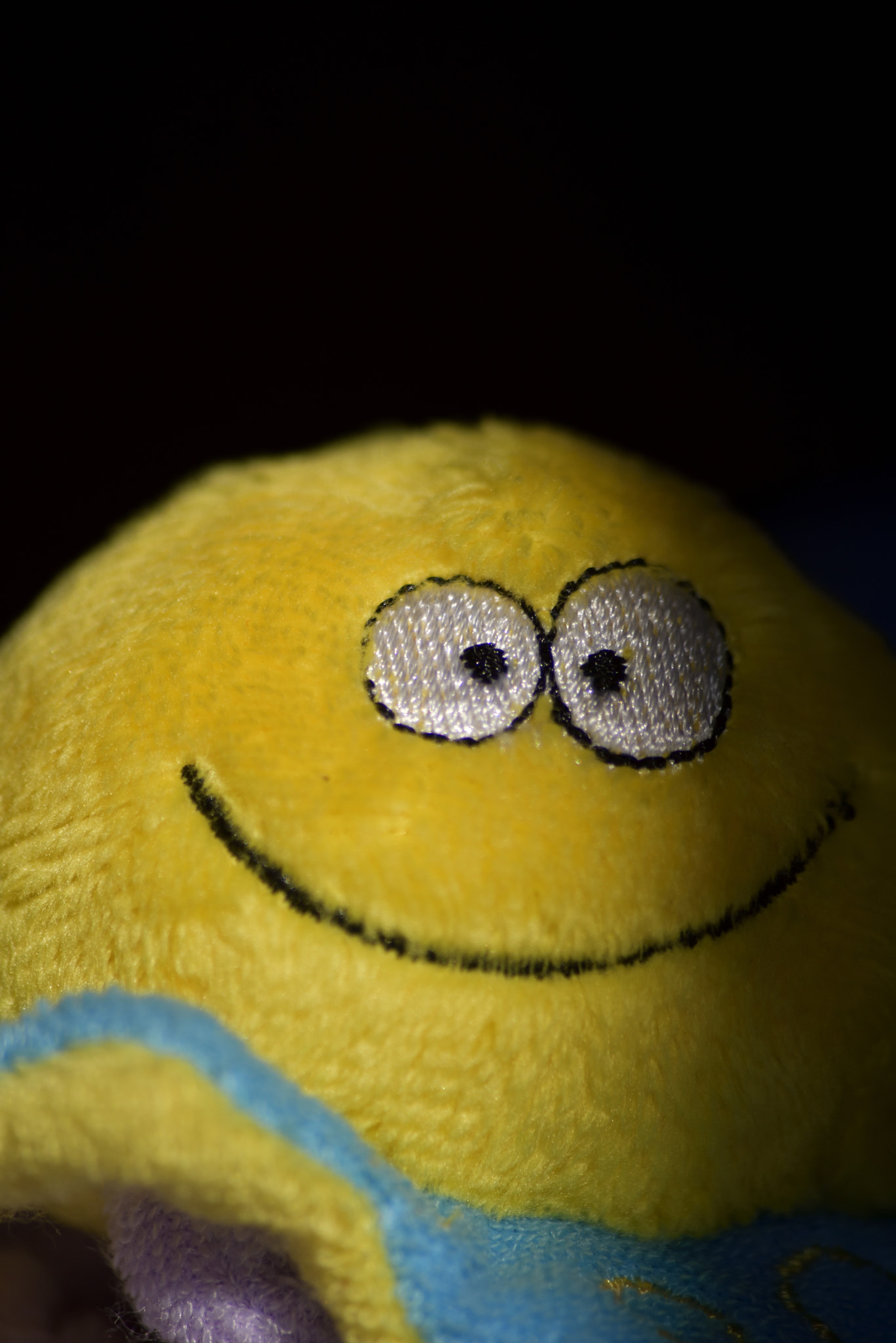 Sigma 70-300mm F4-5.6 APO Macro Super II sample photo. Toy portraits photography