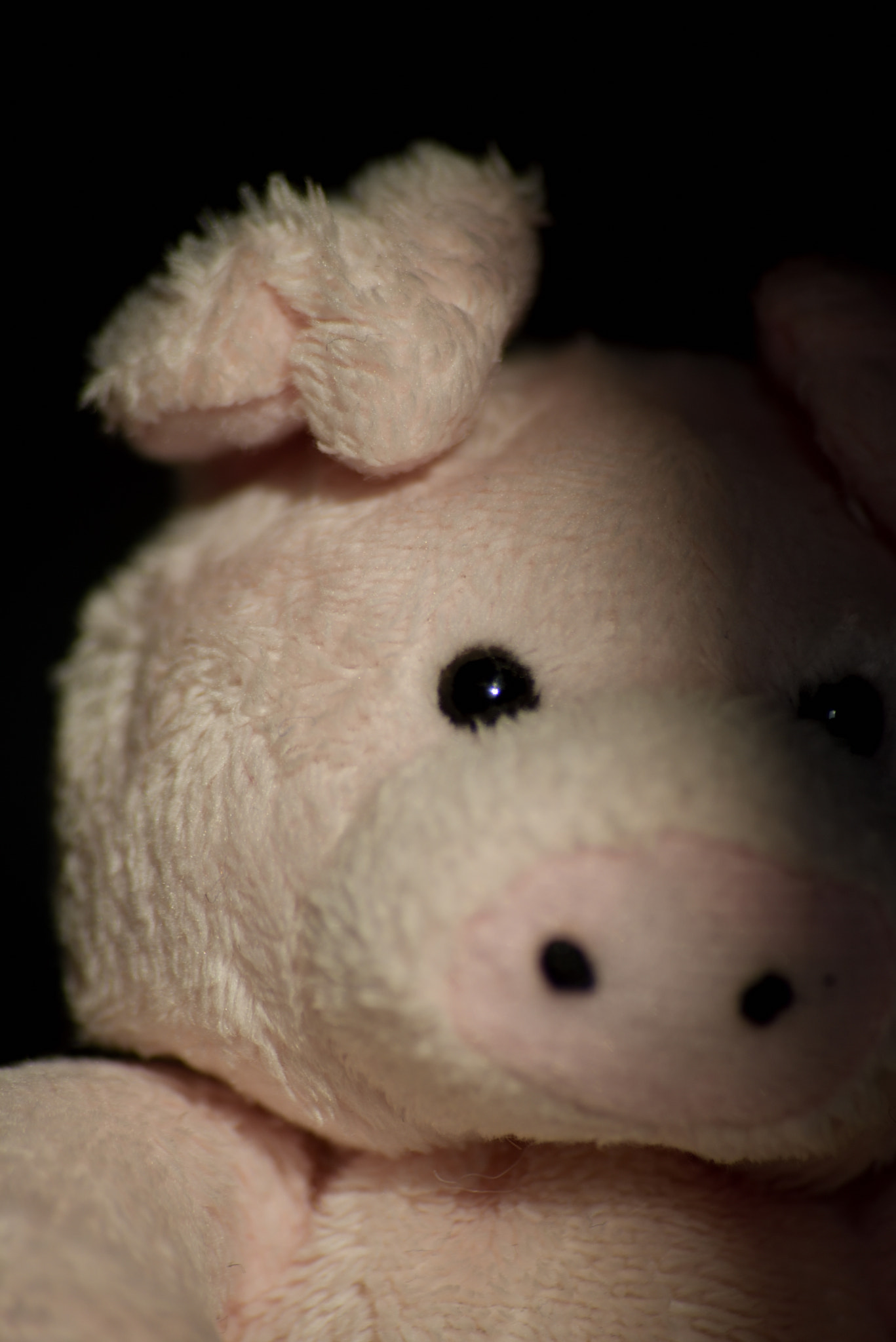 Sigma 70-300mm F4-5.6 APO Macro Super II sample photo. Toy portraits photography