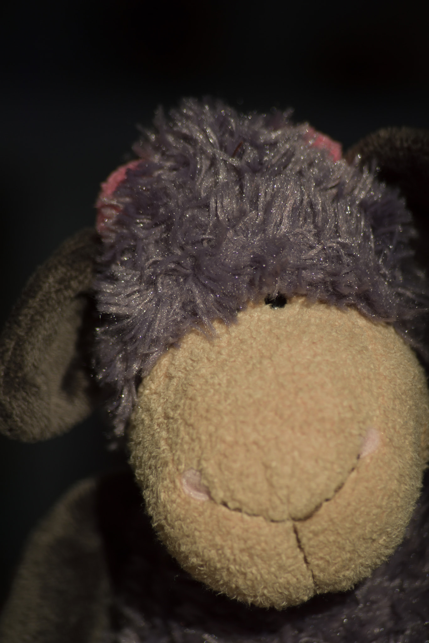 Sigma 70-300mm F4-5.6 APO Macro Super II sample photo. Toy portraits photography