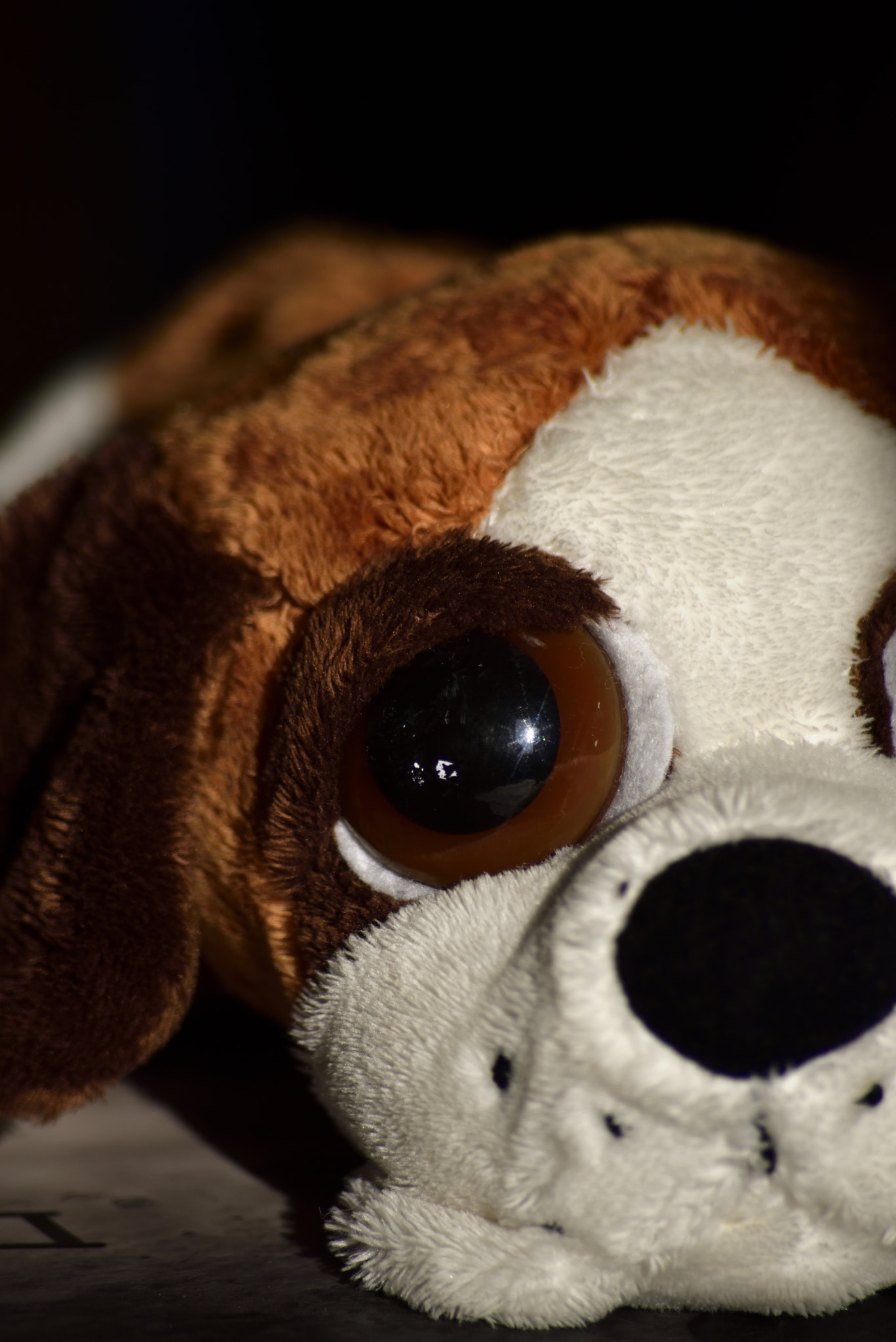 Sigma 70-300mm F4-5.6 APO Macro Super II sample photo. Toy portraits photography