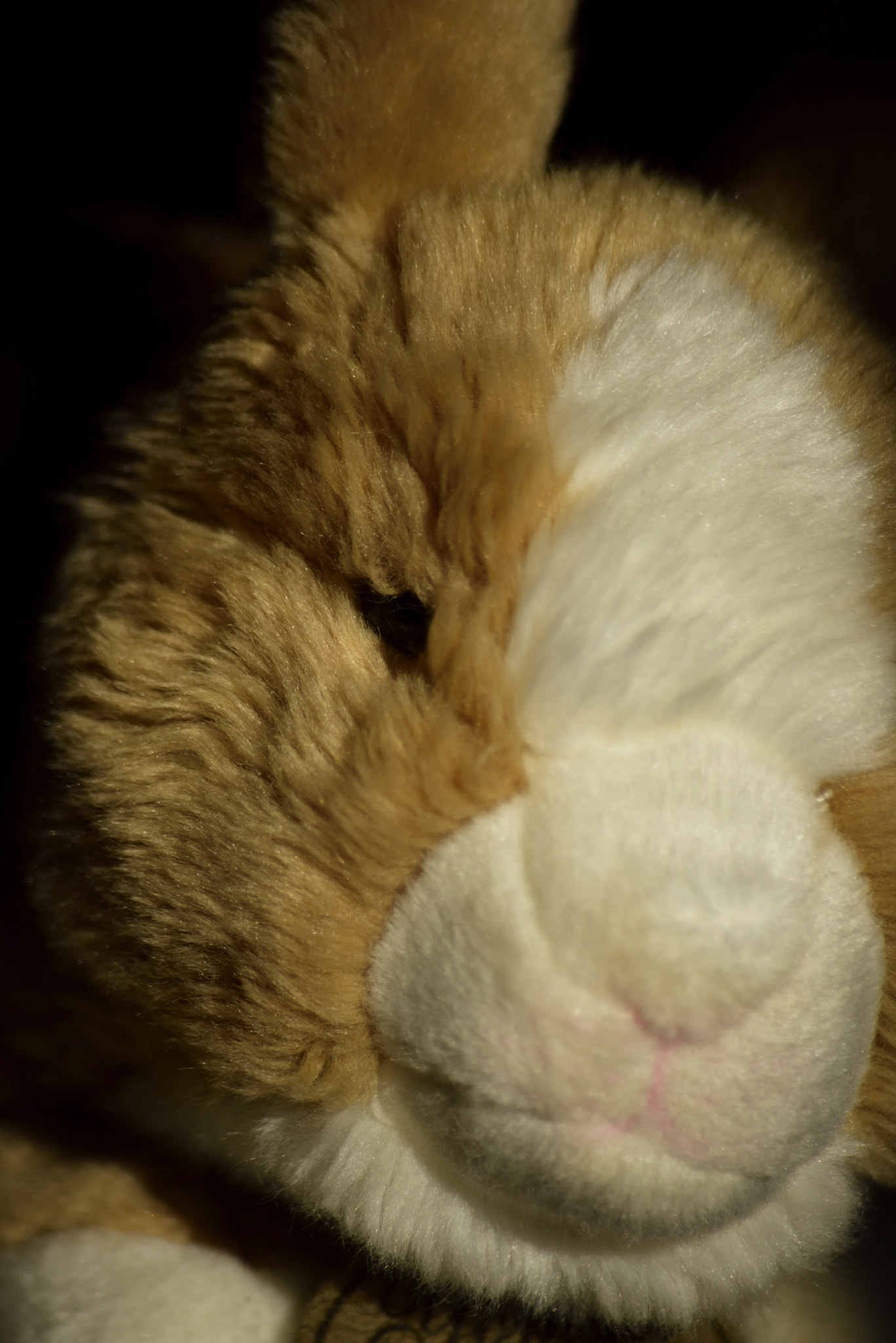Sigma 70-300mm F4-5.6 APO Macro Super II sample photo. Toy portraits photography