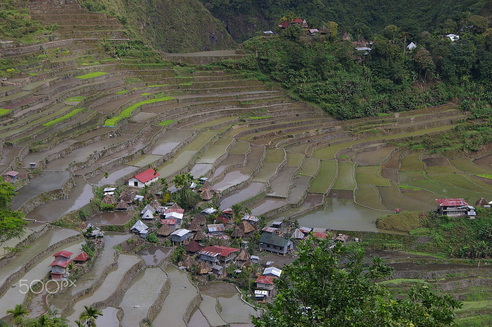 Pentax *ist DS sample photo. Rice terraces of banaue, philippiness photography