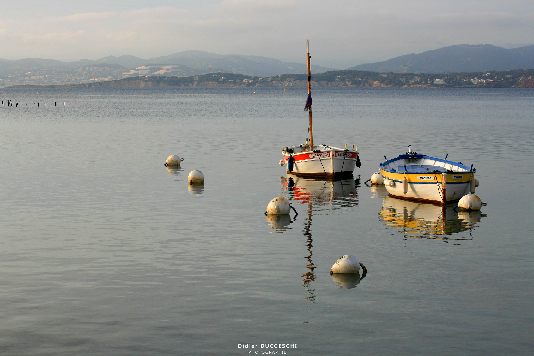 Sigma 55-200mm f/4-5.6 DC sample photo. Quiet photography