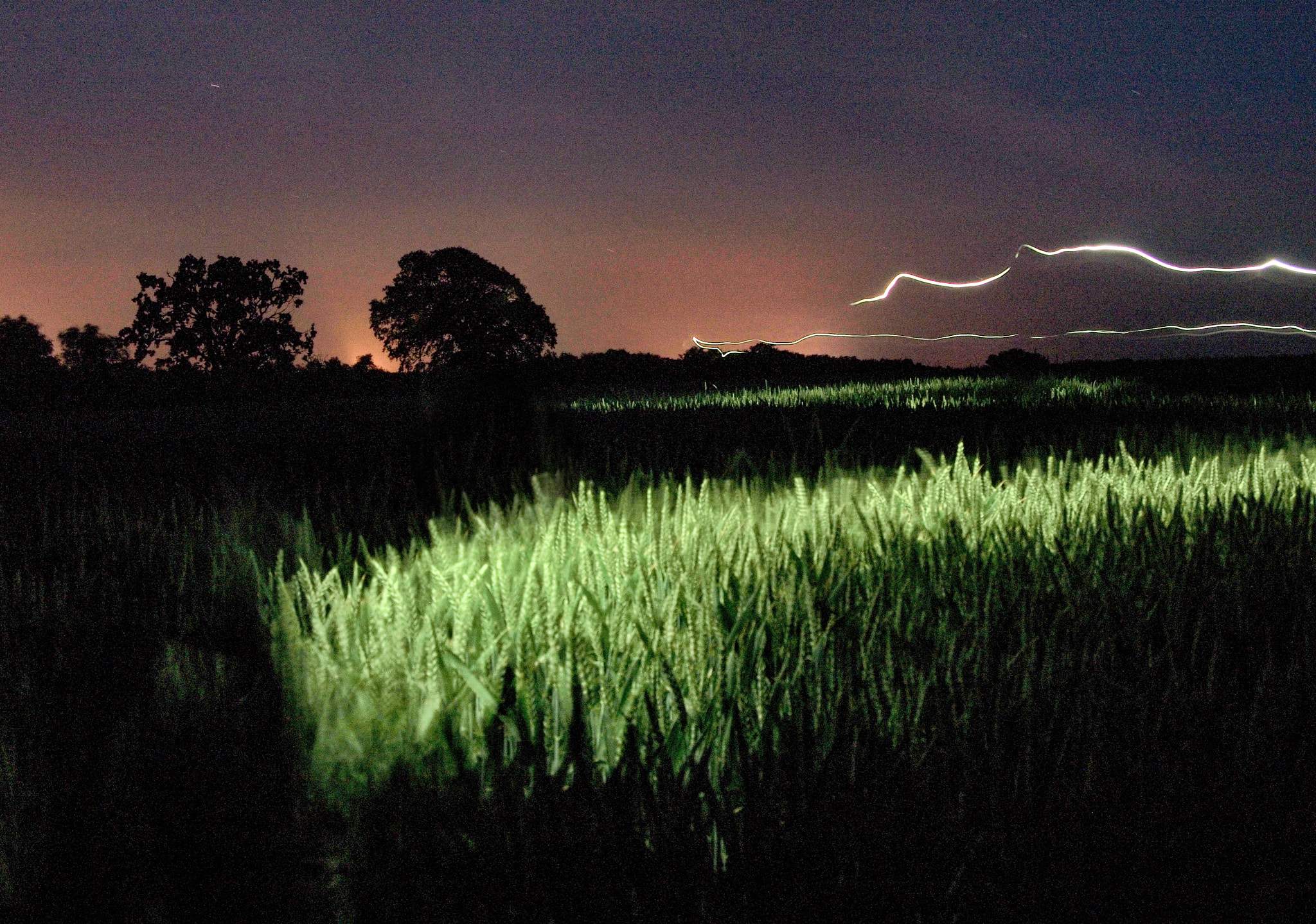 Olympus PEN E-P2 sample photo. Longexposure by night photography