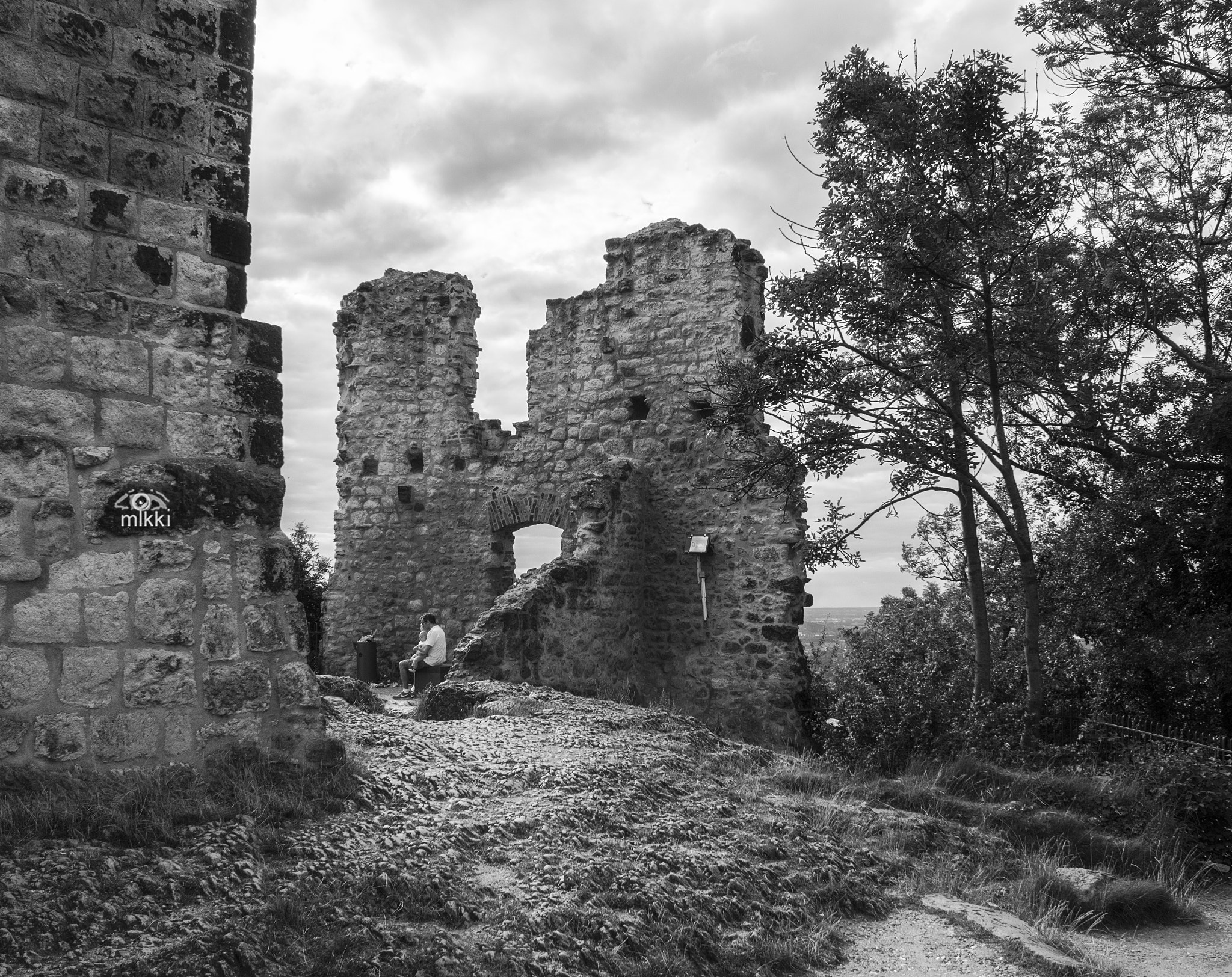Canon EOS 760D (EOS Rebel T6s / EOS 8000D) sample photo. "dragon rock" castle ruins photography