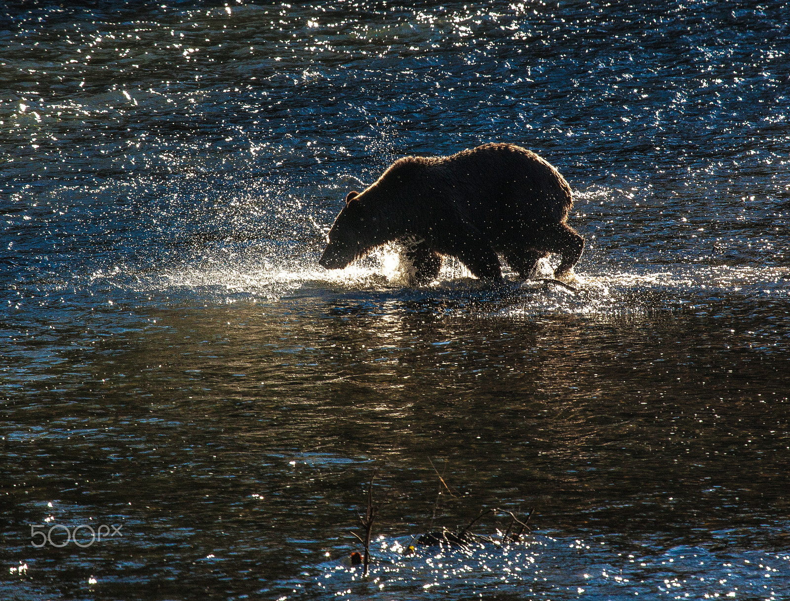 Canon EF 100-400mm F4.5-5.6L IS USM sample photo. Going fishing photography