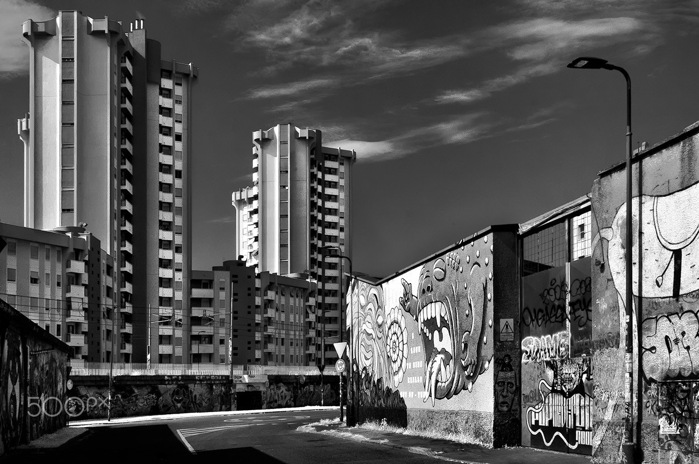 Nikon AF Nikkor 24-85mm F2.8-4D IF sample photo. The scream photography