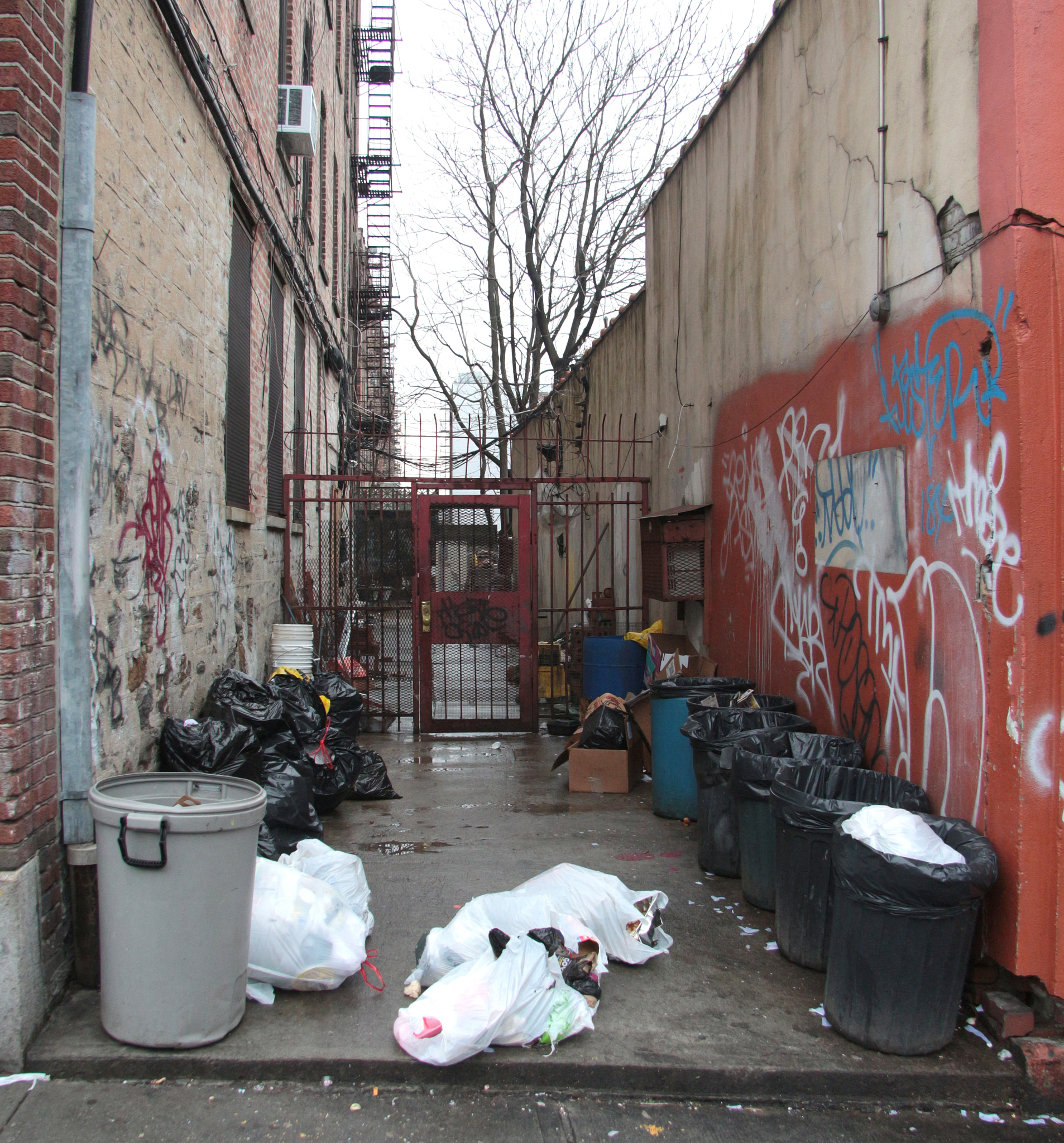 Canon EF-S 17-85mm F4-5.6 IS USM sample photo. The old neighborhood has changed photography