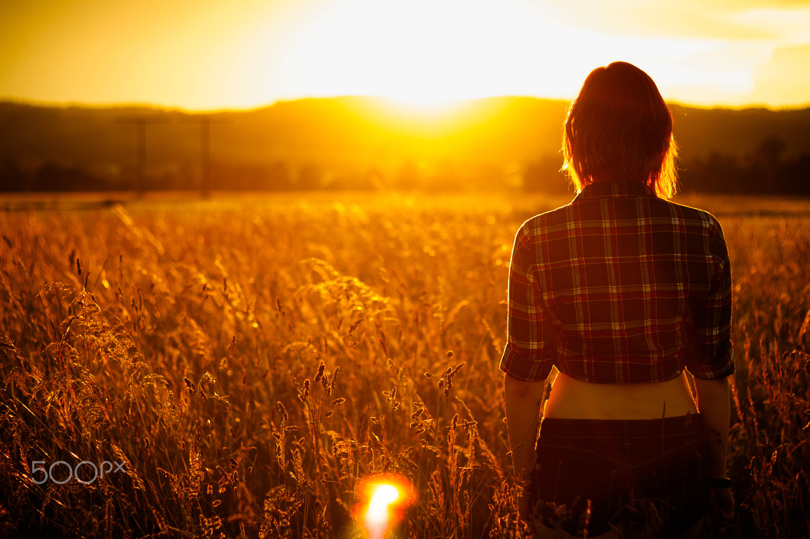 Canon EOS 80D + Canon EF 50mm F1.8 II sample photo. Sunset photography