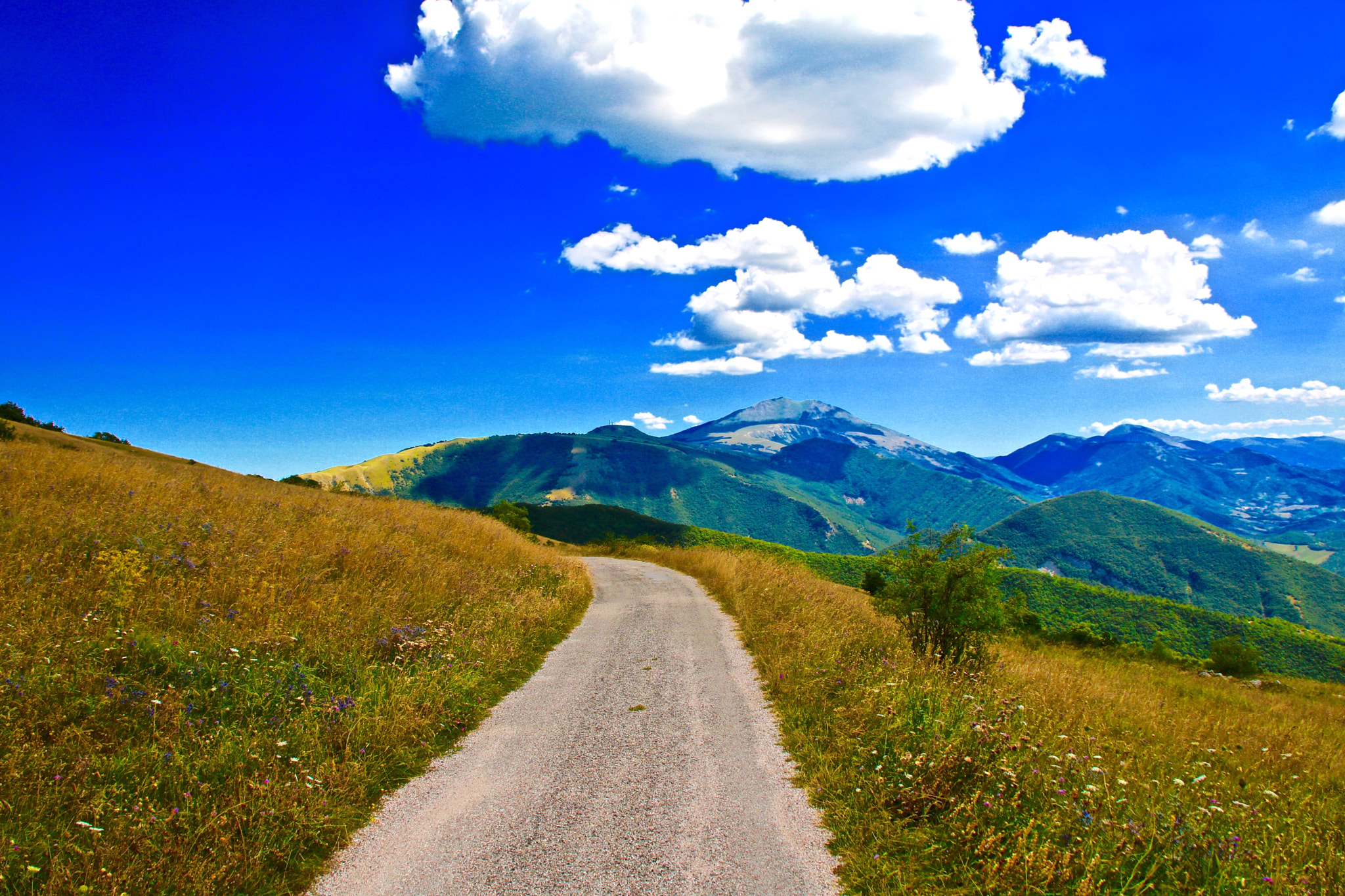 Canon EOS 760D (EOS Rebel T6s / EOS 8000D) sample photo. Piccola strada panoramica photography