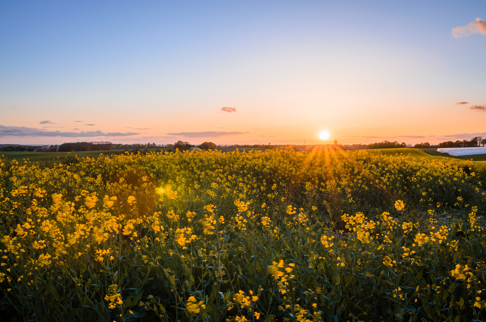 Nikon D5100 + Sigma 18-35mm F1.8 DC HSM Art sample photo. Sunset in ratingen photography