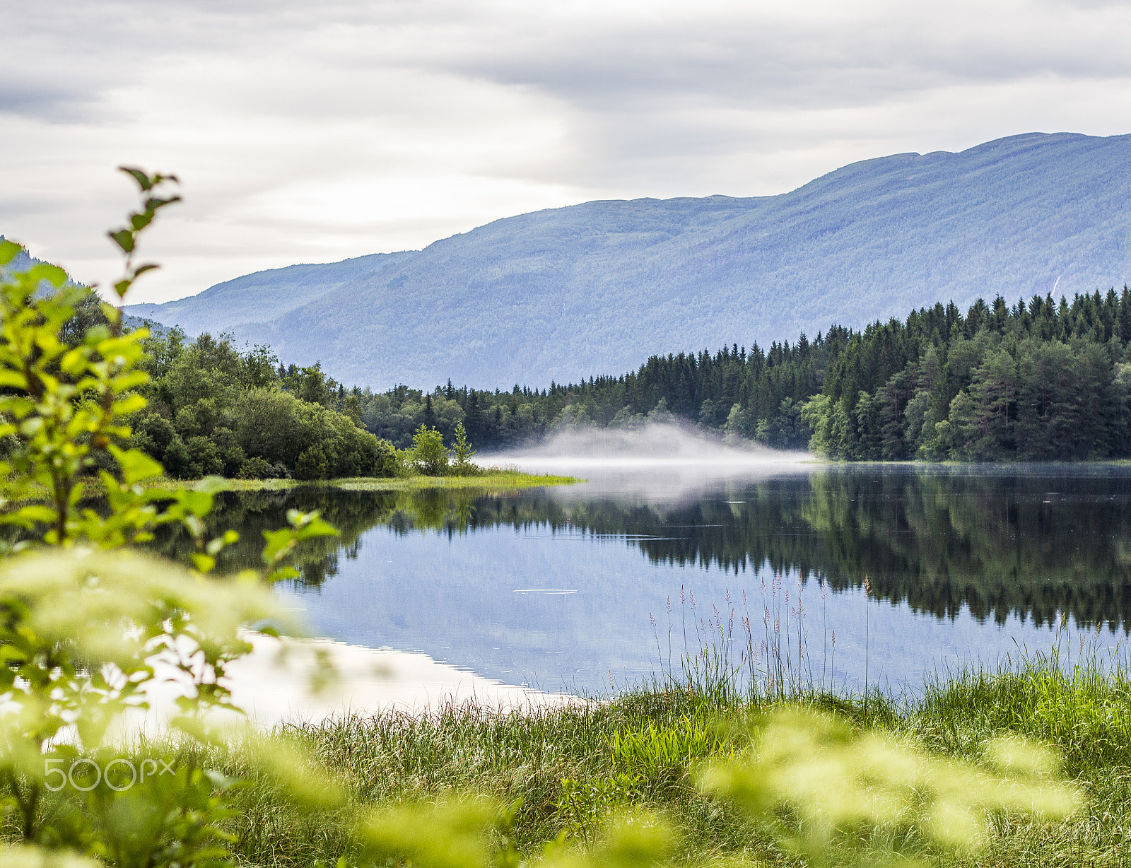 Canon EOS 7D + Canon EF 50mm F1.8 II sample photo. Voss lake photography