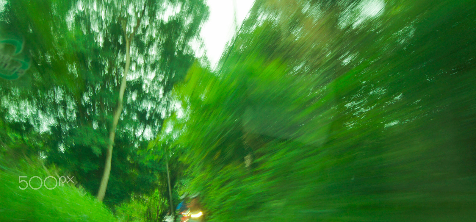 Sony SLT-A33 + Sony DT 18-55mm F3.5-5.6 SAM sample photo. Wave of trees photography