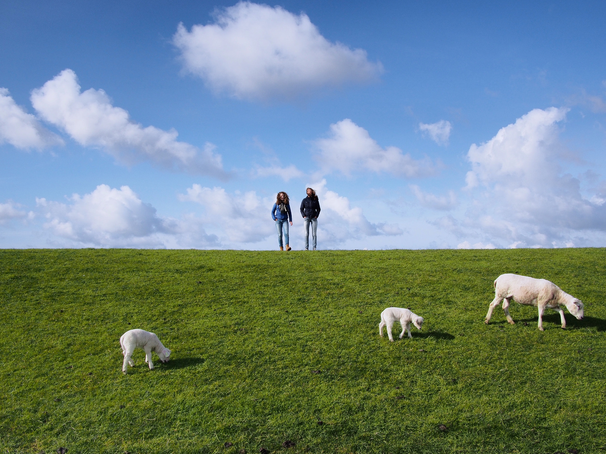 Olympus PEN E-PL5 sample photo. Dutch skys photography