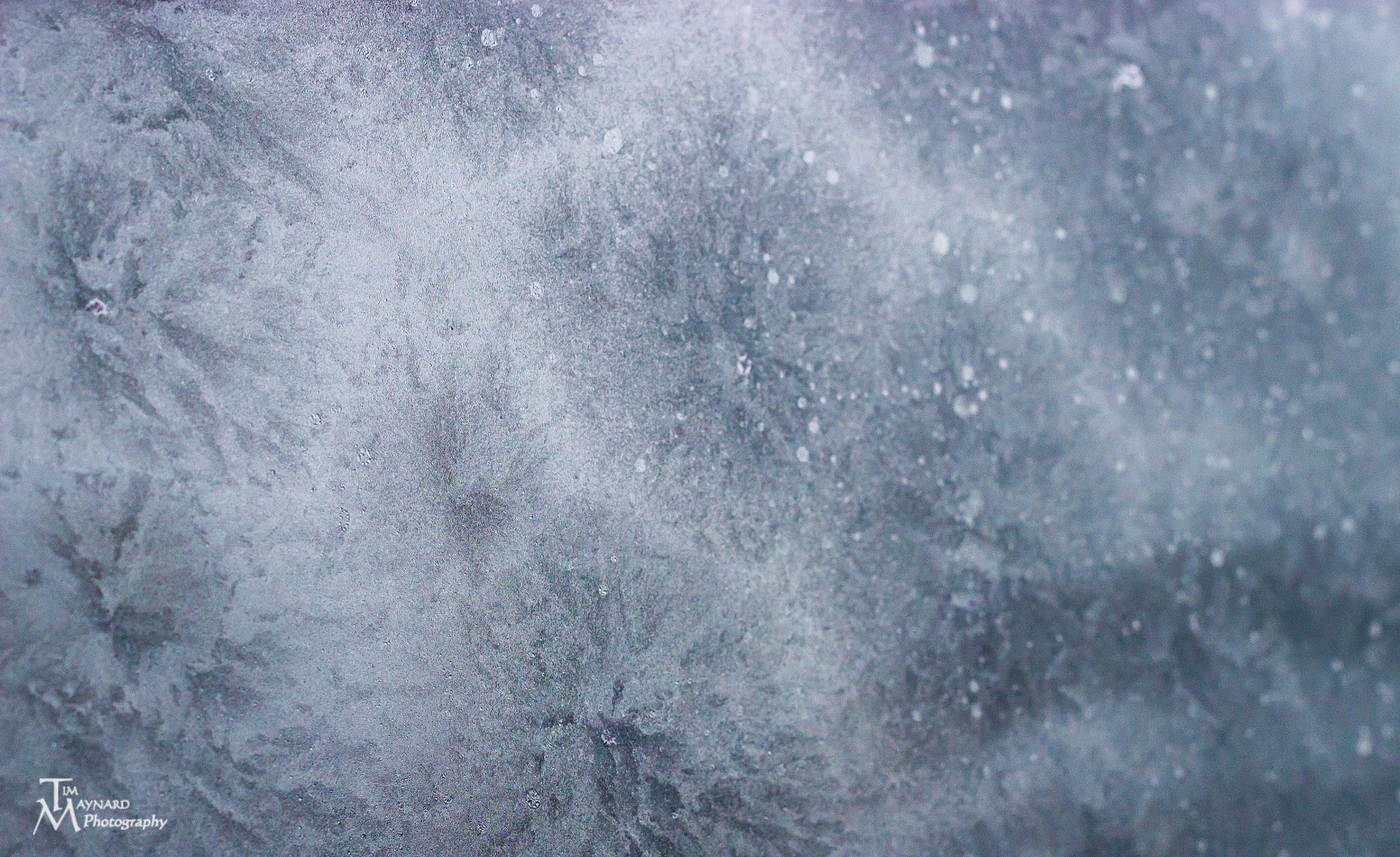 Canon EOS 600D (Rebel EOS T3i / EOS Kiss X5) + Canon EF 50mm F1.8 II sample photo. Frosty photography