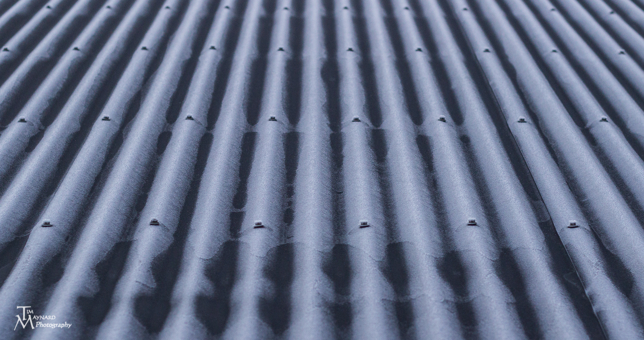 Canon EOS 600D (Rebel EOS T3i / EOS Kiss X5) + Canon EF 50mm F1.8 II sample photo. Frosty tin photography