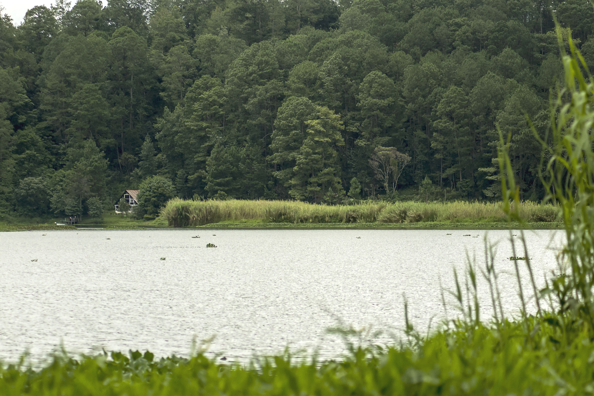 AF Zoom-Nikkor 75-300mm f/4.5-5.6 sample photo. Laguna chichoj photography
