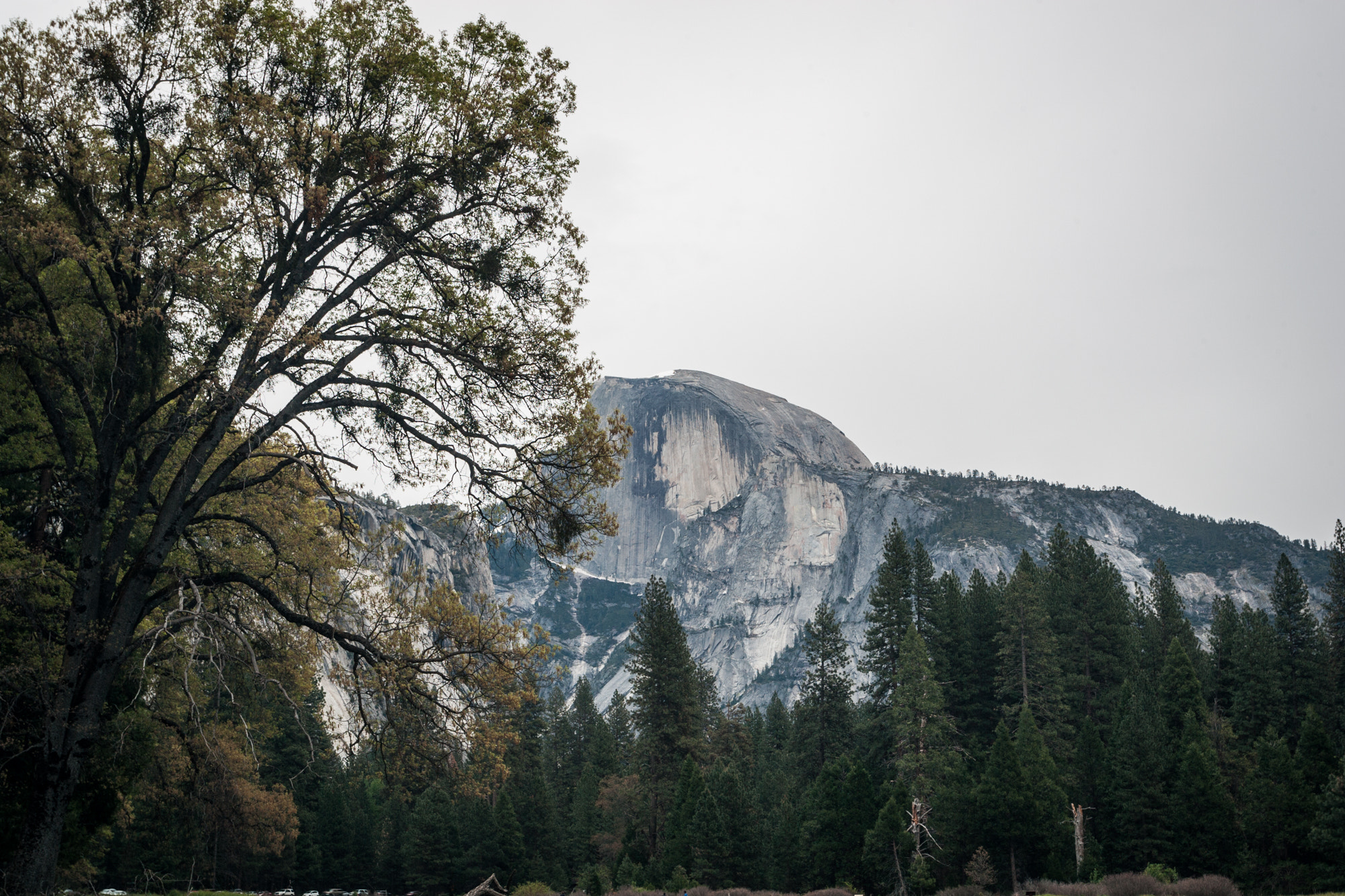 Canon EOS-1D Mark II sample photo. Yosemite half dome photography
