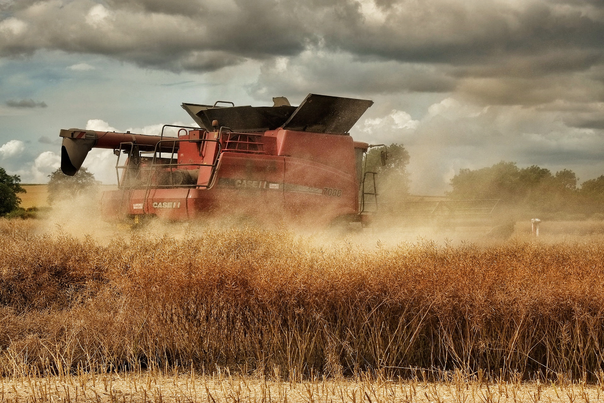 Fujifilm X-Pro1 + Fujifilm XF 55-200mm F3.5-4.8 R LM OIS sample photo. Harvesting the crop !  photography