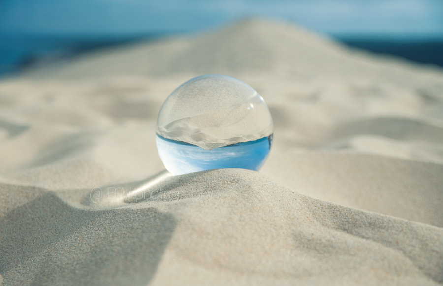 Nikon D700 + Sigma 24-60mm F2.8 EX DG sample photo. Dune in a ball photography