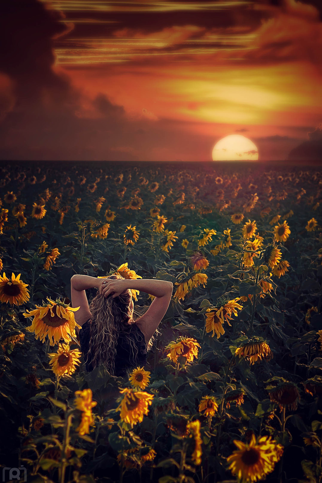 Canon EF 50mm F1.8 II sample photo. Dreaming about sunflowers photography