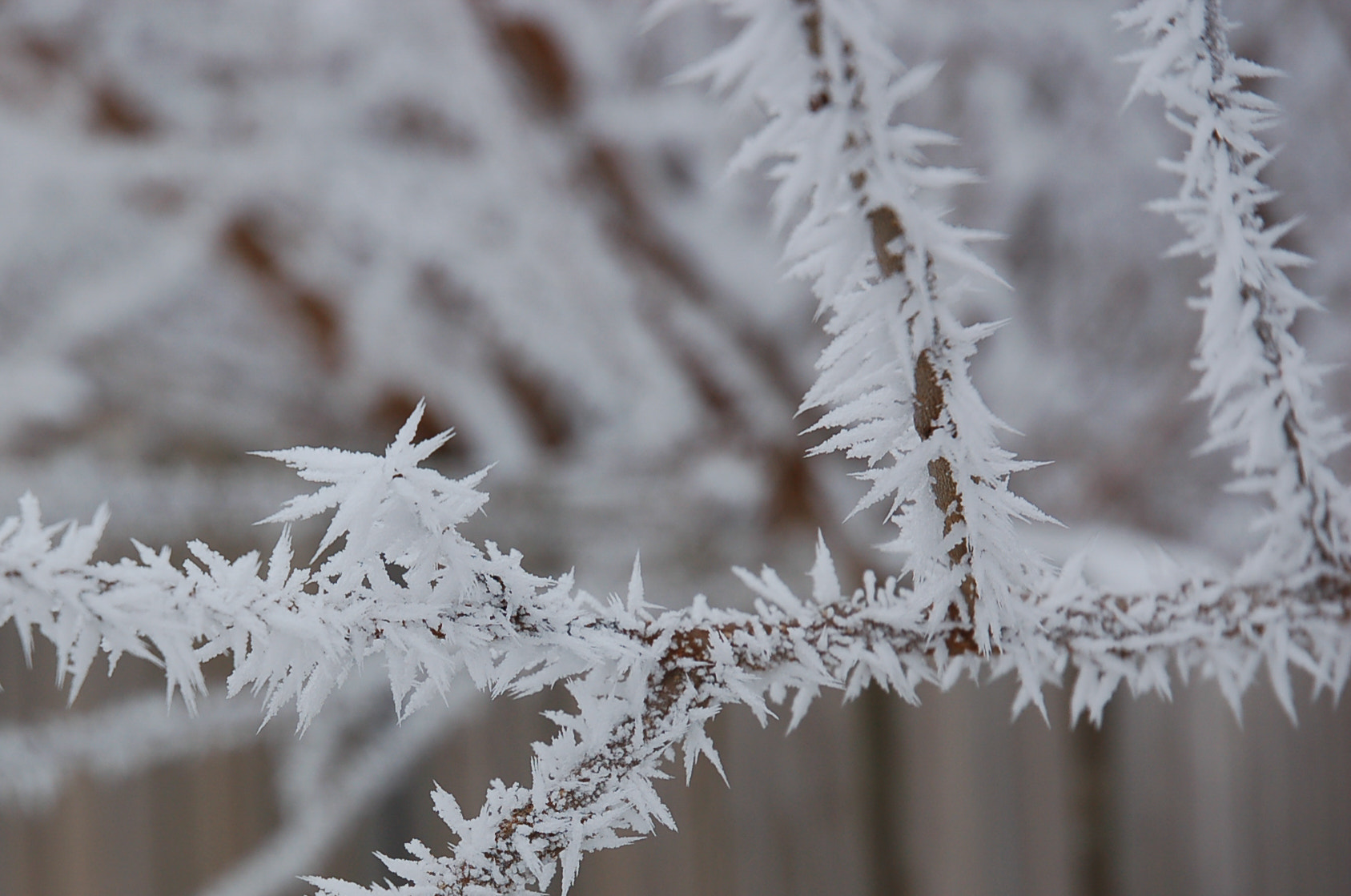 Nikon D50 sample photo. Jack's been busy photography