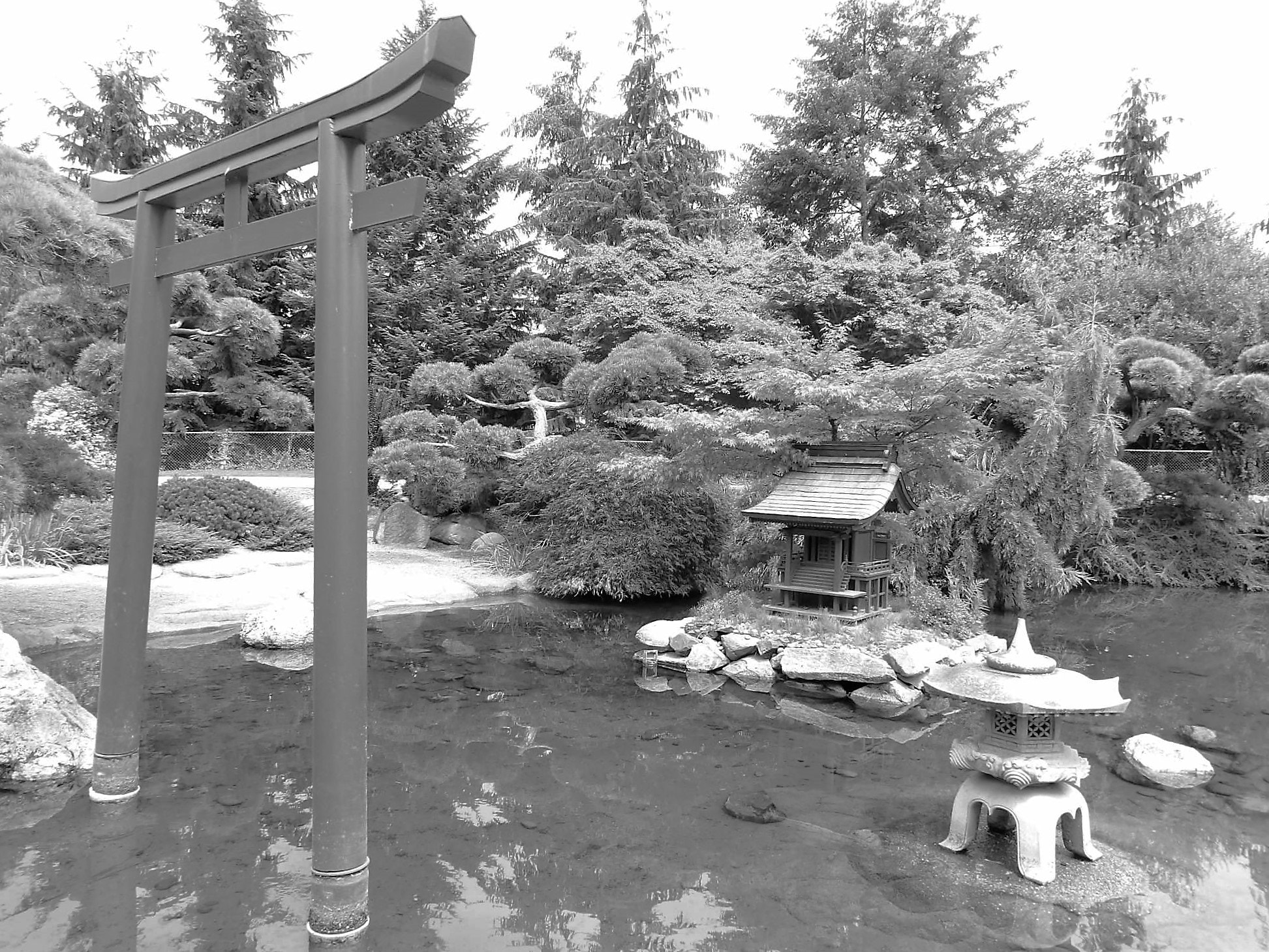 Kodak PIXPRO AZ521 sample photo. Point defiance park japanese garden photography