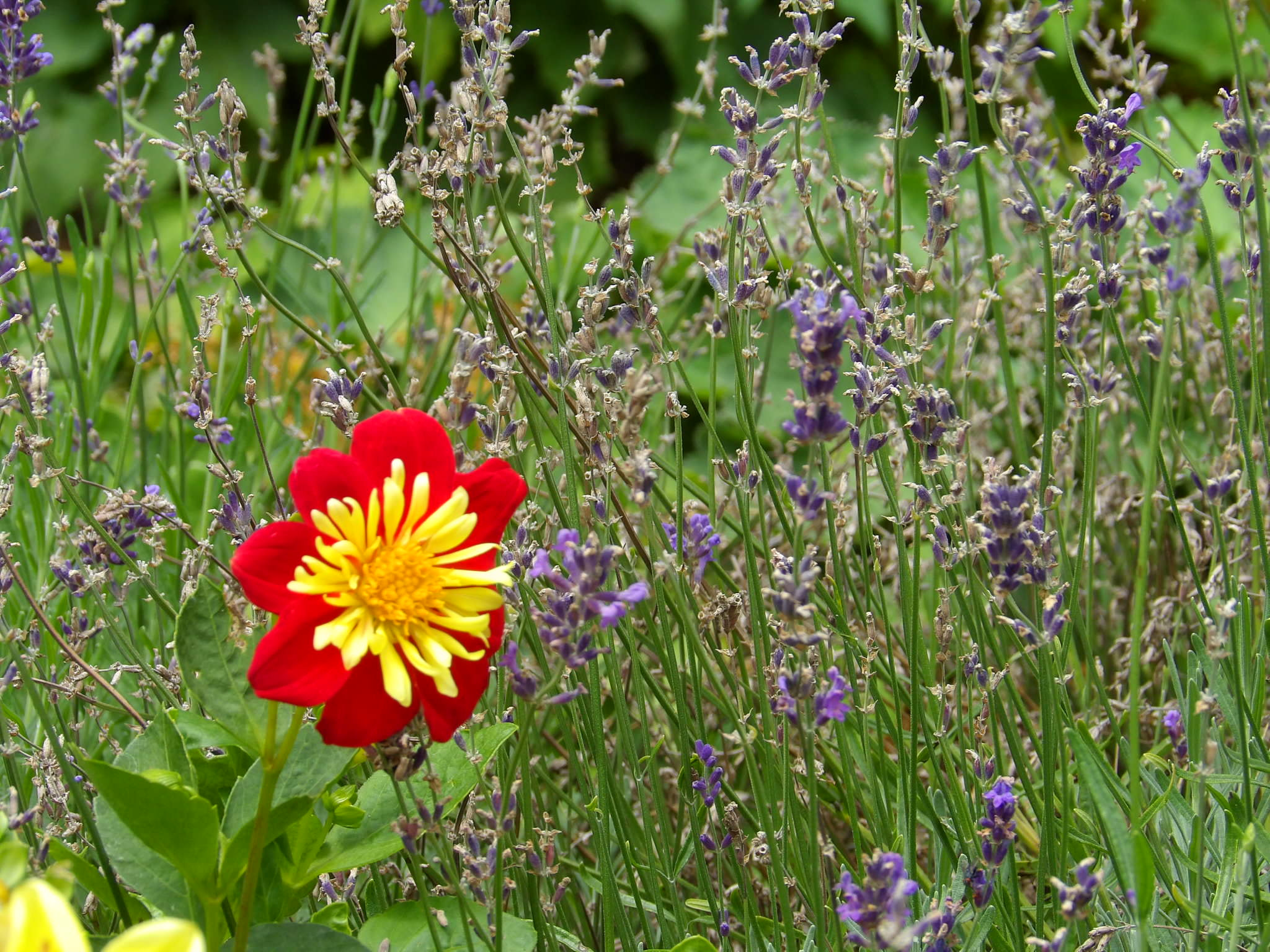 Kodak PIXPRO AZ521 sample photo. Thirds photography