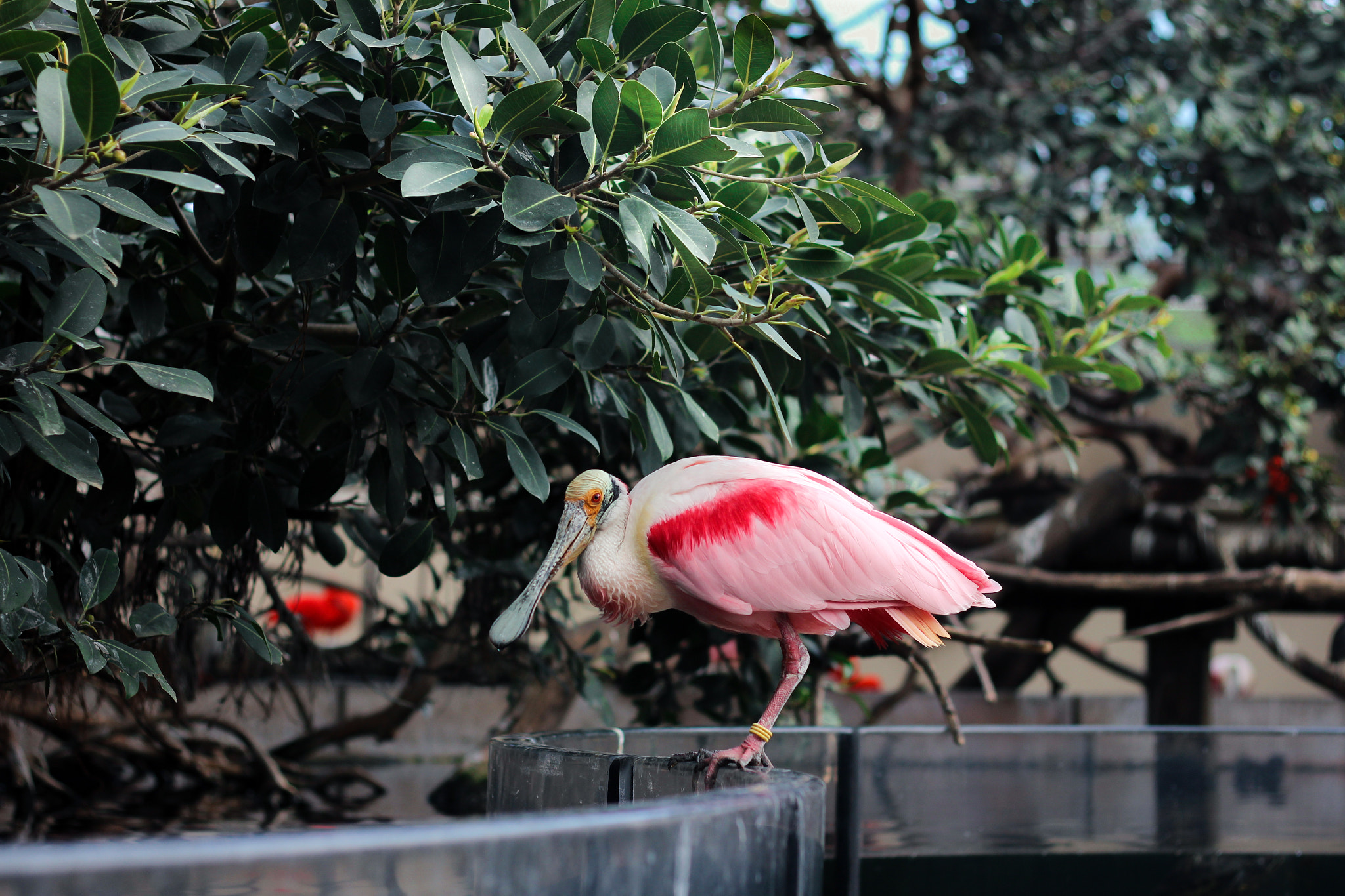 Canon EF 50mm F1.8 II sample photo. I see you photography