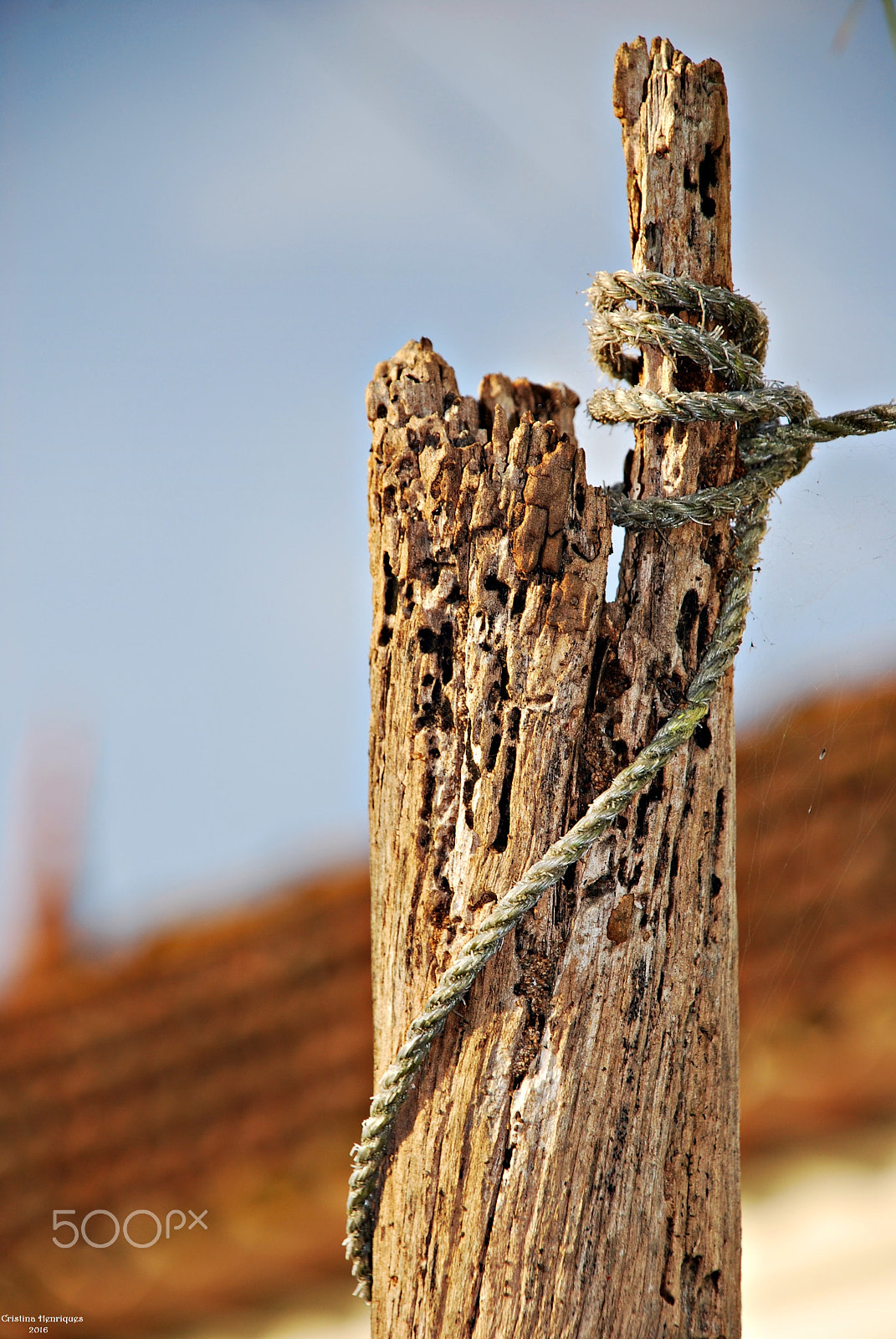 Nikon D40X sample photo. Resistence ... photography