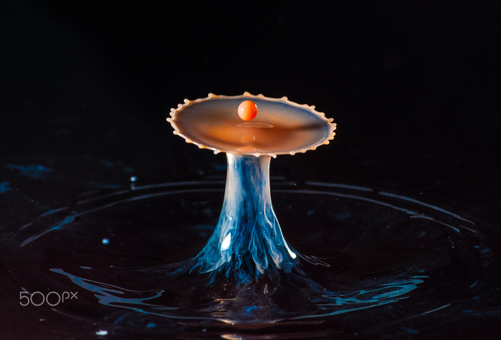 Tokina AT-X Pro 100mm F2.8 Macro sample photo. Water drops. photography