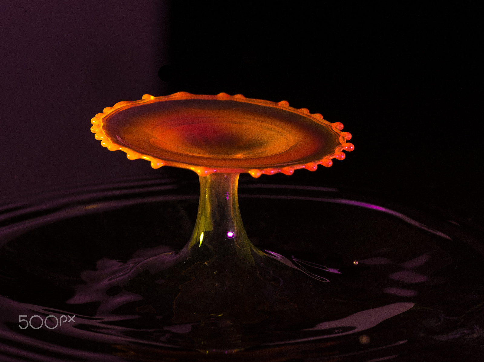 Tokina AT-X Pro 100mm F2.8 Macro sample photo. Water drops. photography