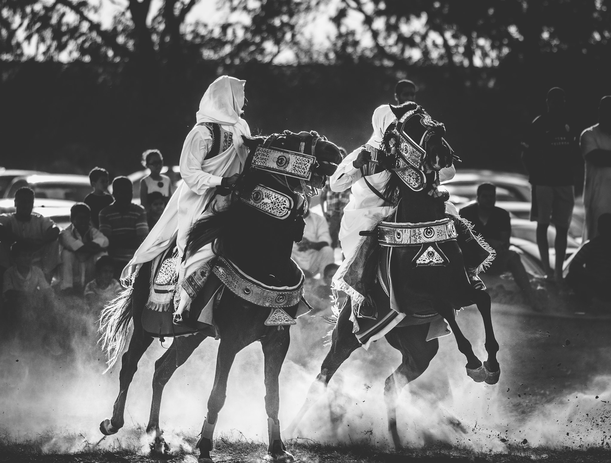 Canon EF 200mm F2.8L II USM sample photo. Horesmanship photography
