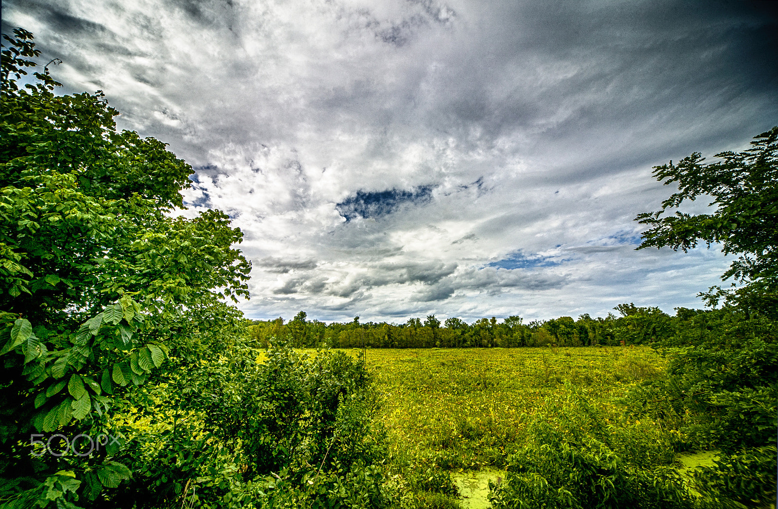 Canon EOS-1Ds sample photo. Dutch gap conservation area photography