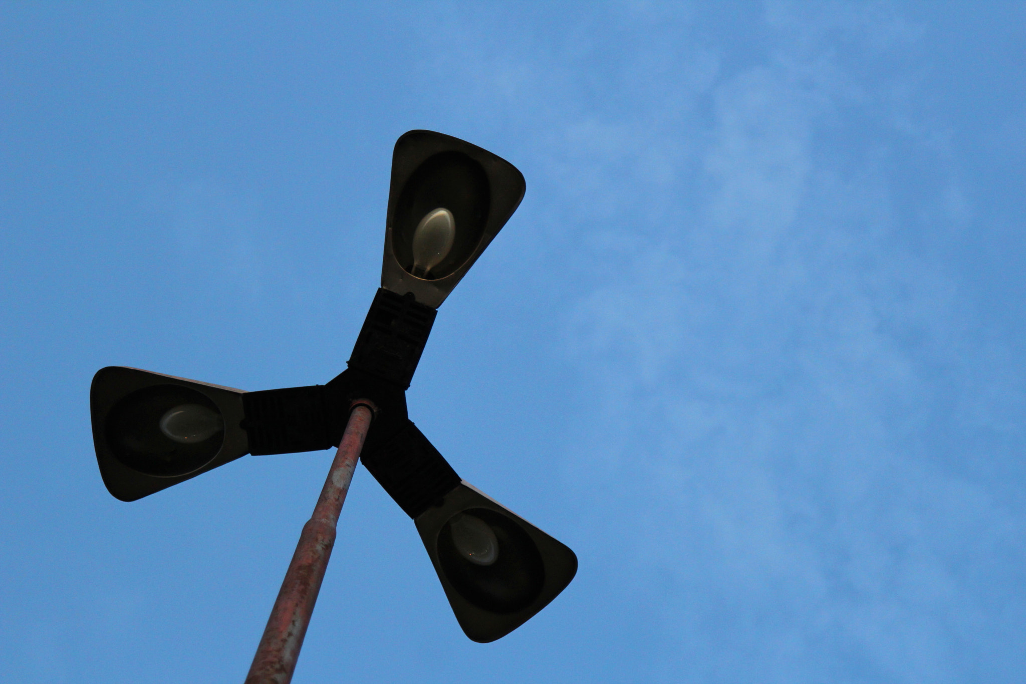 Canon EOS 1200D (EOS Rebel T5 / EOS Kiss X70 / EOS Hi) sample photo. Flor urbana photography