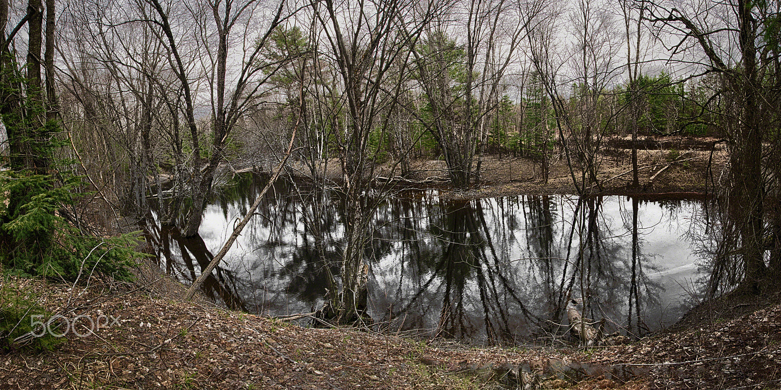 Pentax K20D sample photo. Where is sandman tonight? photography