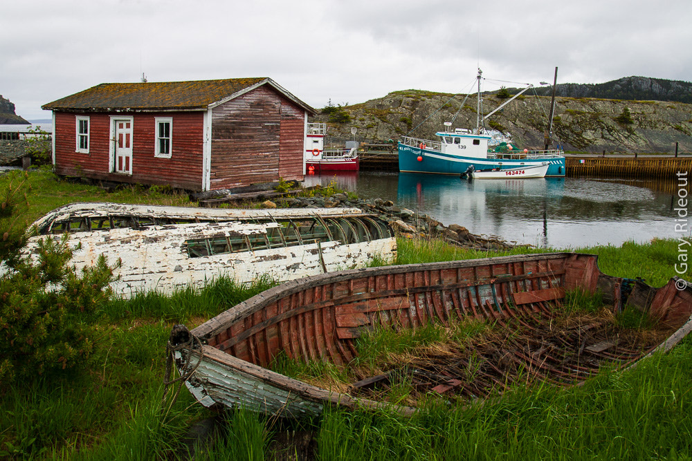 Canon EOS-1D Mark II + Canon EF 24-105mm F4L IS USM sample photo. Brigus harbour, newfoundland photography
