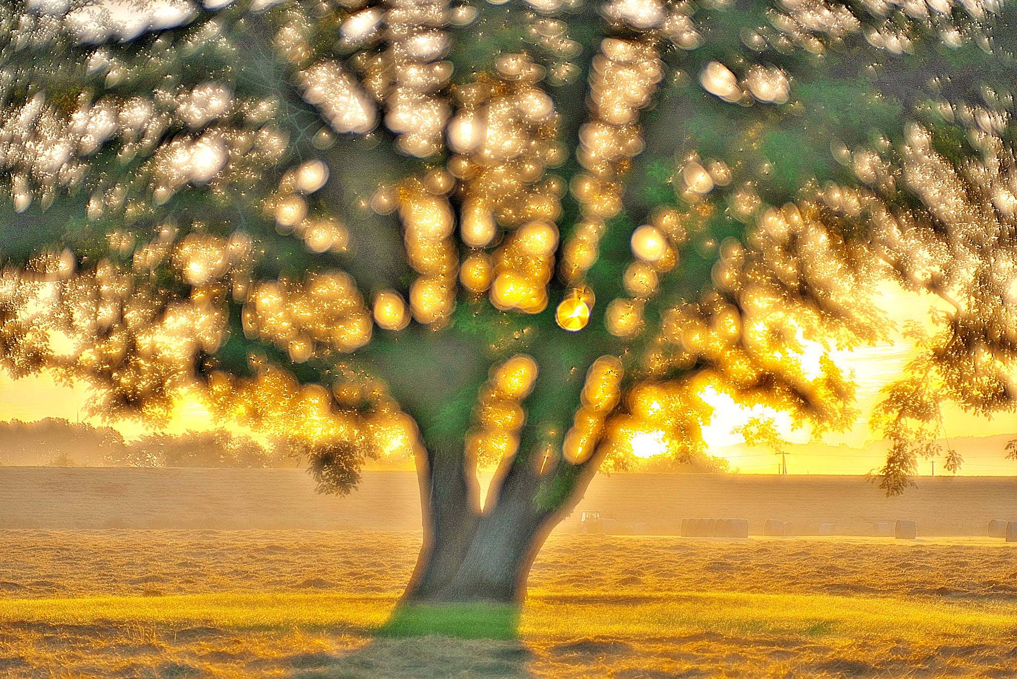 Sony a7S sample photo. Morning star photography