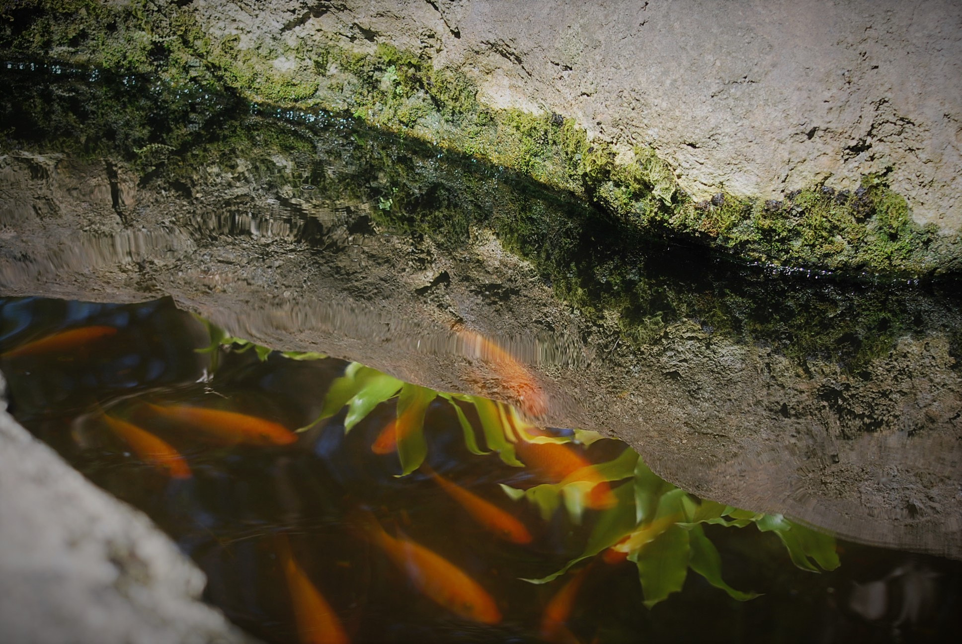 Nikon D60 sample photo. () photography
