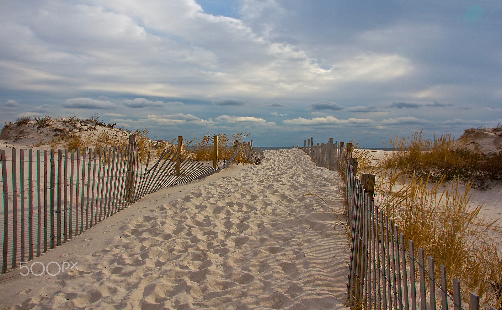 Sigma 18-250mm F3.5-6.3 DC OS HSM sample photo. My favorite path photography